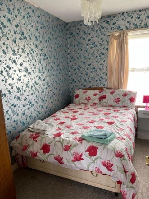 בנגור Room Only Guest Accommodation, Guest House Self Catering מראה חיצוני תמונה